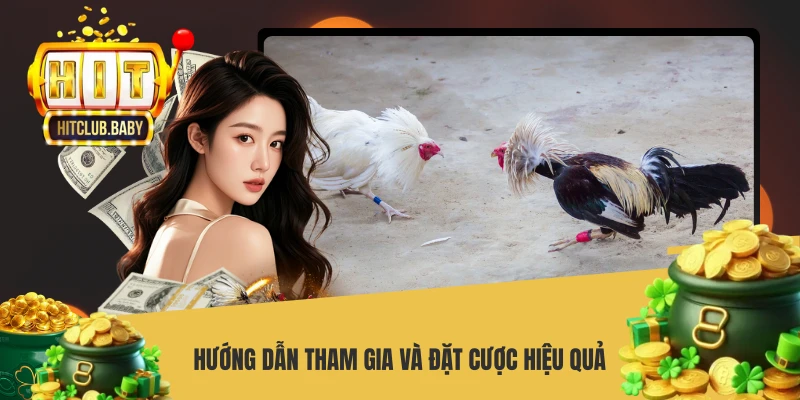 Hướng dẫn tham gia và đặt cược hiệu quả
