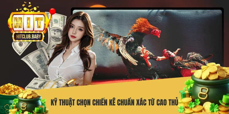 Kỹ thuật chọn chiến kê chuẩn xác từ cao thủ